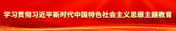 插大黑粗鸡巴视频网站学习贯彻习近平新时代中国特色社会主义思想主题教育